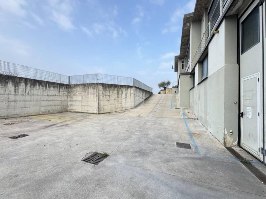 immagine annuncio 12 di 14