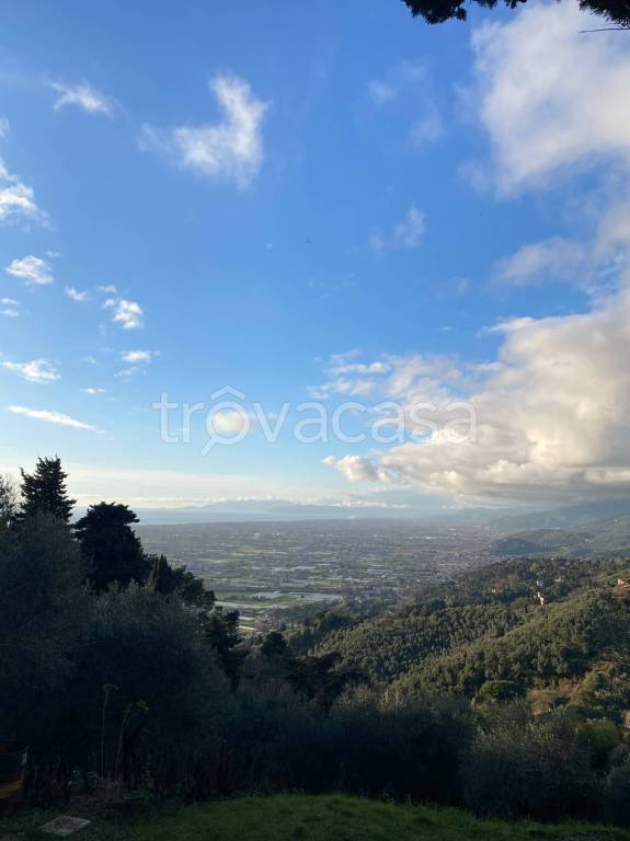 immagine annuncio 1 di 4