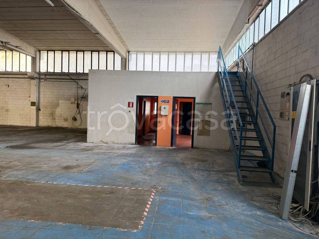 immagine annuncio 6 di 12