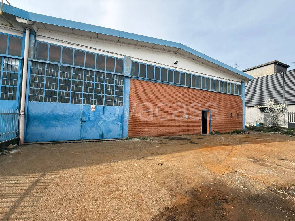 immagine annuncio 3 di 12