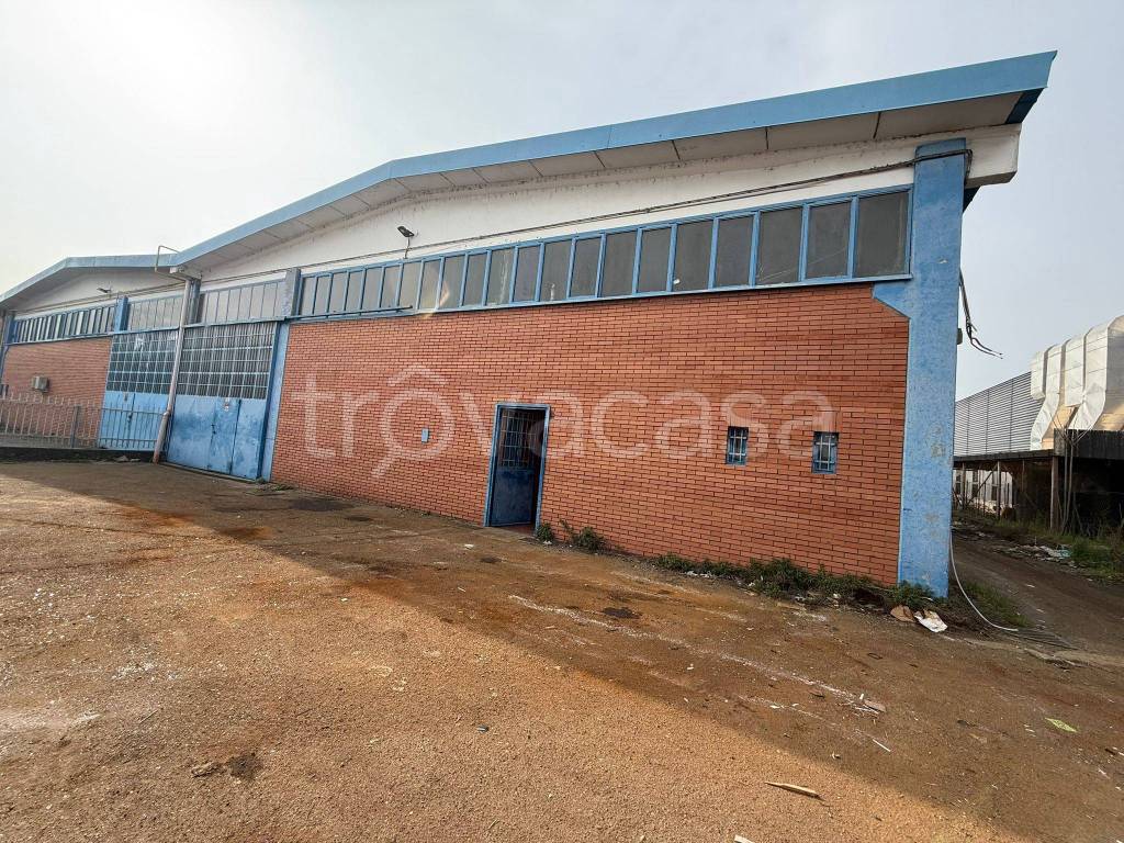 immagine annuncio 4 di 12