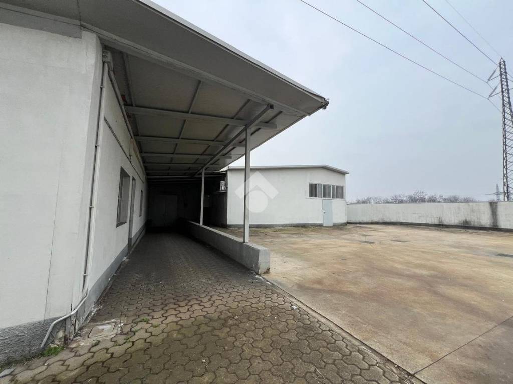 immagine annuncio 9 di 15