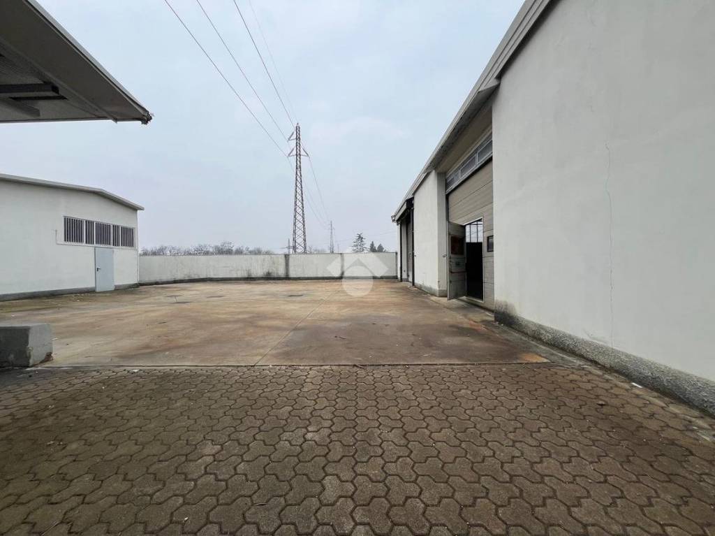 immagine annuncio 12 di 15