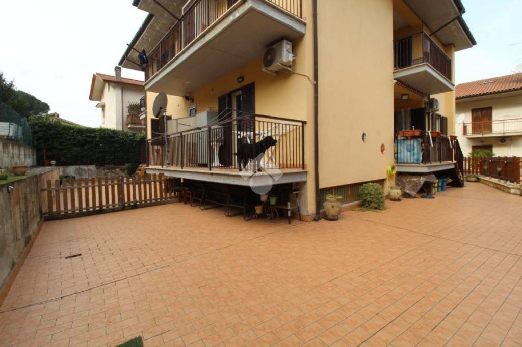 immagine annuncio 10 di 12