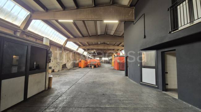 immagine annuncio 2 di 6