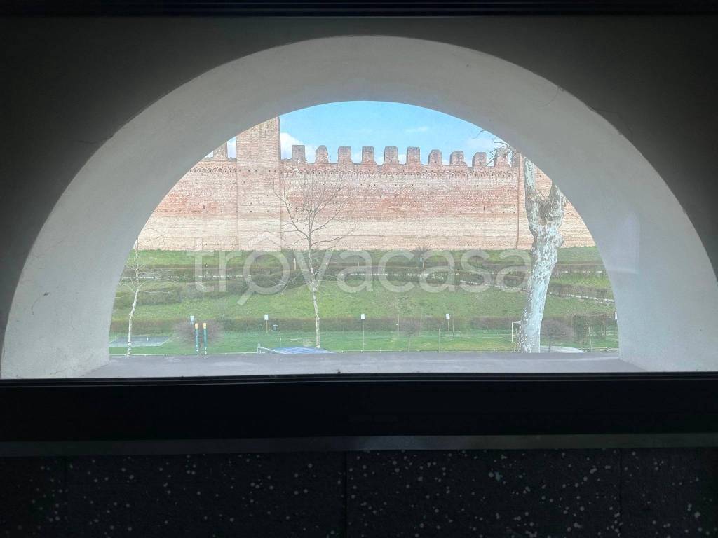 immagine annuncio 8 di 13