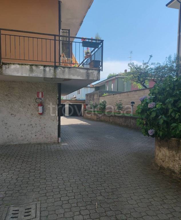 immagine annuncio 3 di 11