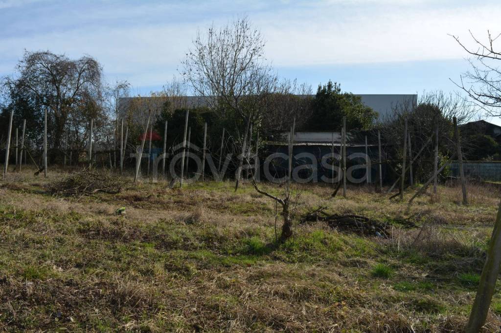 immagine annuncio 2 di 14