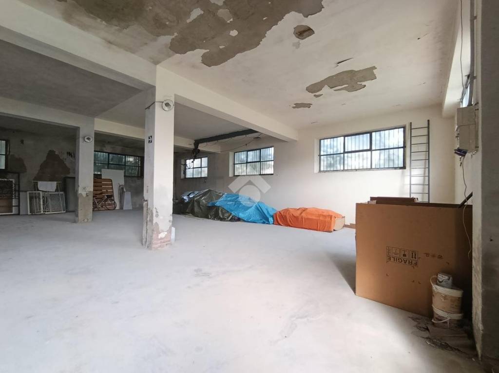 immagine annuncio 9 di 15