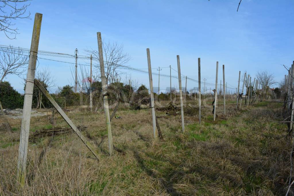 immagine annuncio 4 di 14