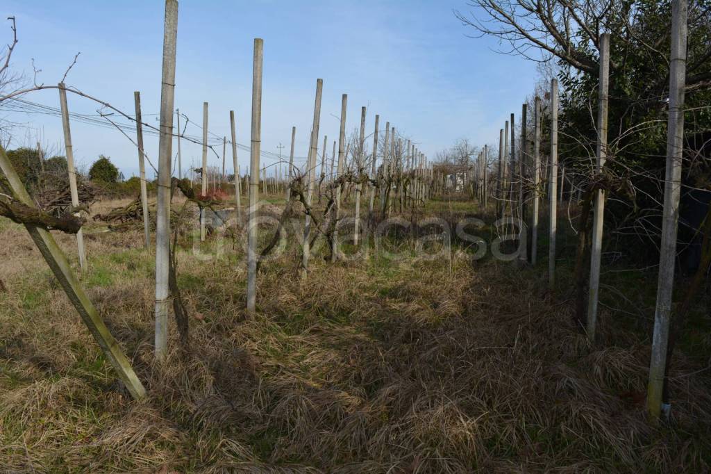 immagine annuncio 5 di 14