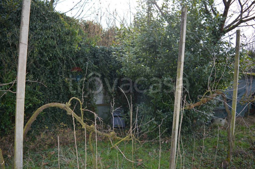 immagine annuncio 8 di 14