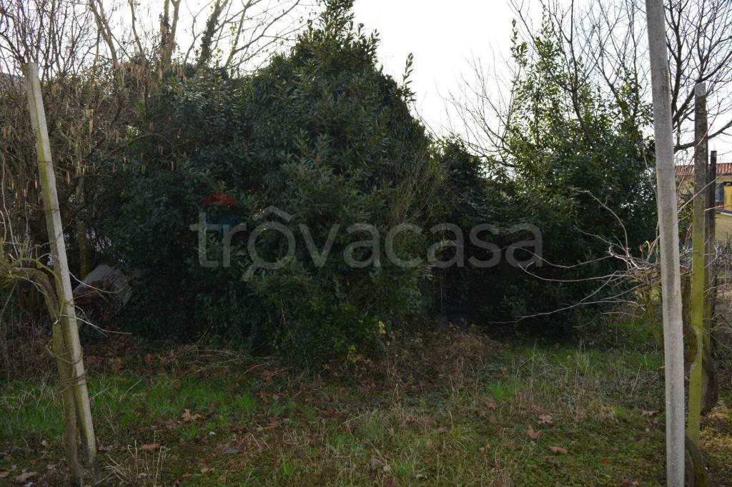 immagine annuncio 9 di 14