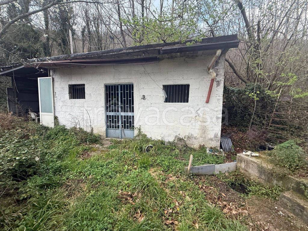 immagine annuncio 1 di 6