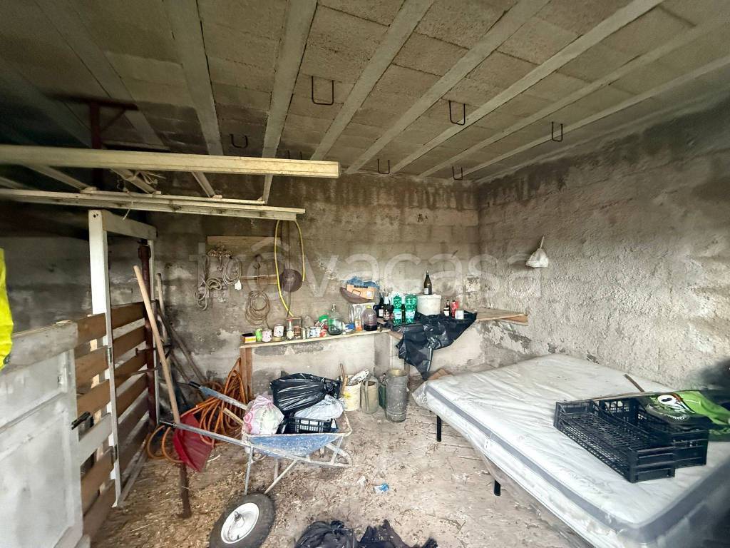 immagine annuncio 2 di 6