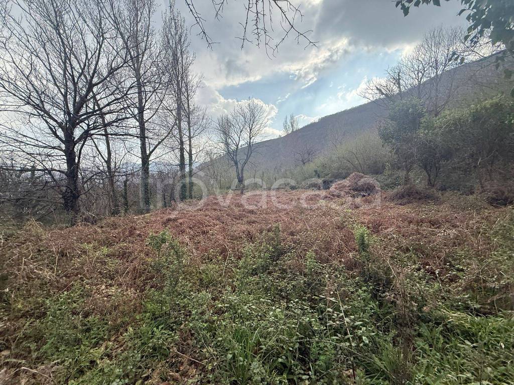 immagine annuncio 3 di 6