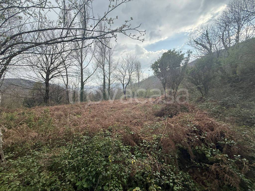 immagine annuncio 4 di 6