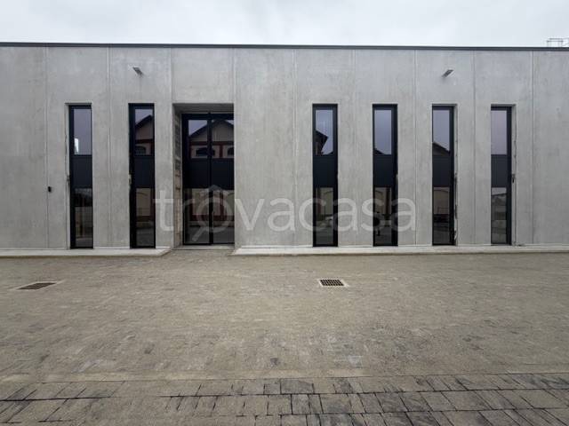 immagine annuncio 2 di 14