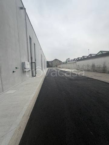 immagine annuncio 7 di 14