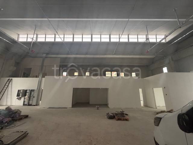 immagine annuncio 12 di 14