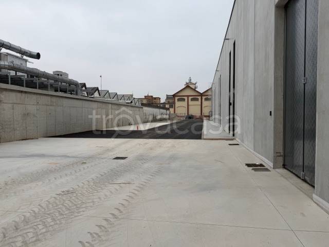 immagine annuncio 4 di 14