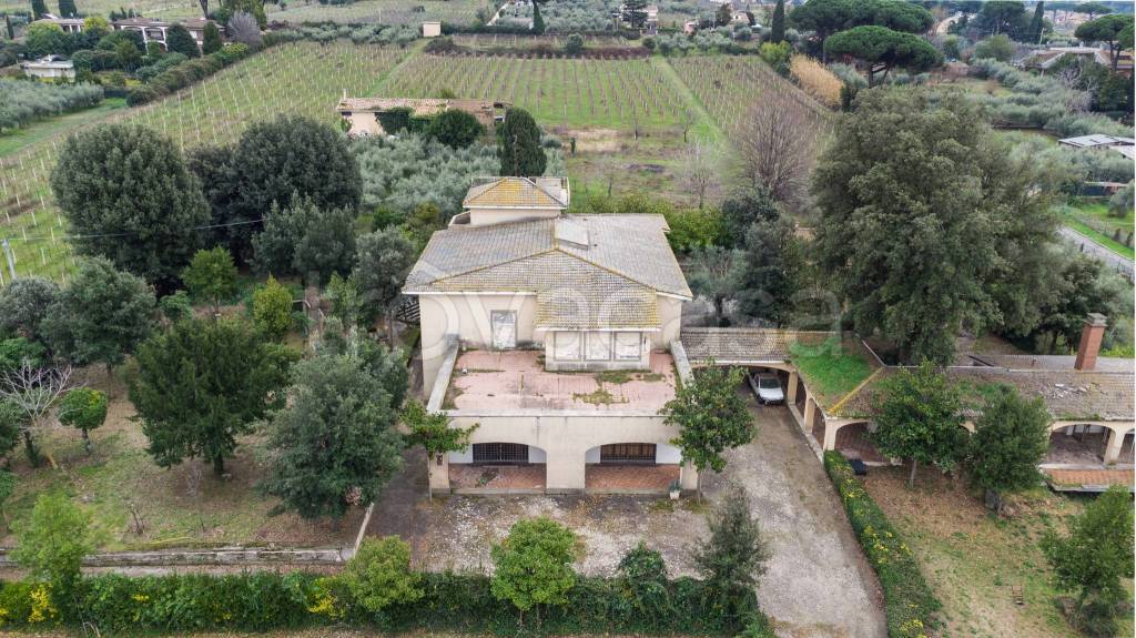 immagine annuncio 4 di 9