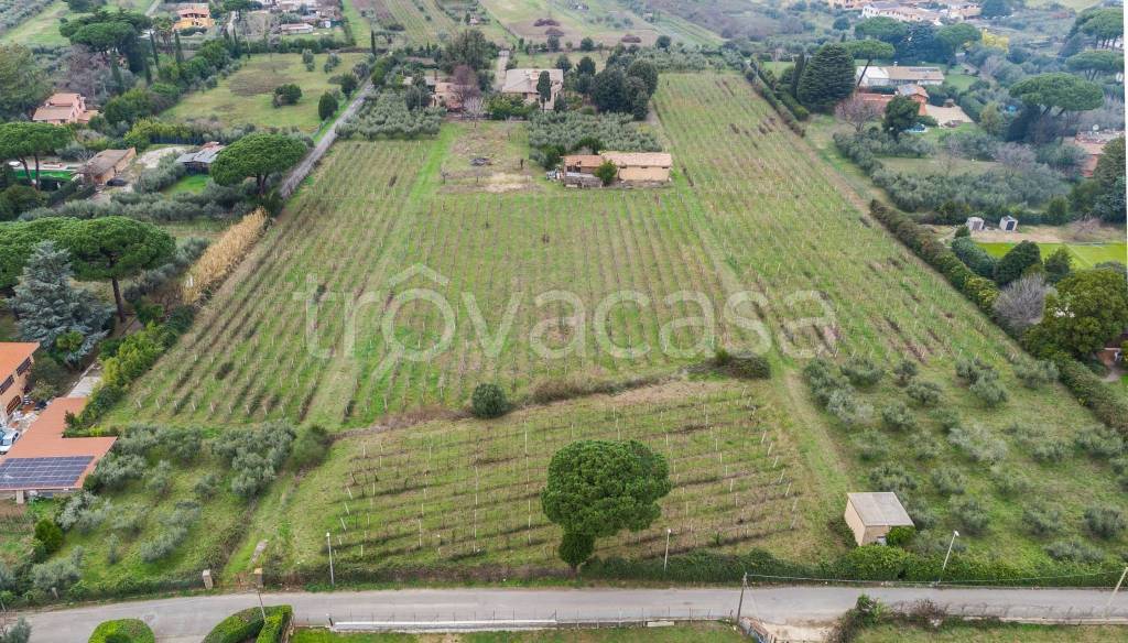 immagine annuncio 7 di 9