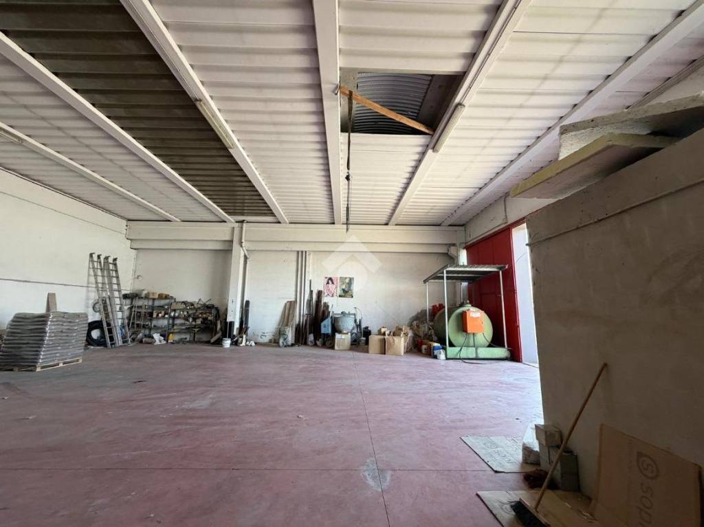 immagine annuncio 6 di 15