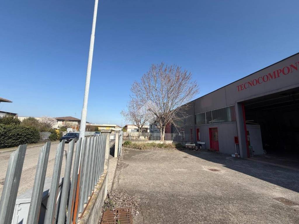 immagine annuncio 8 di 15