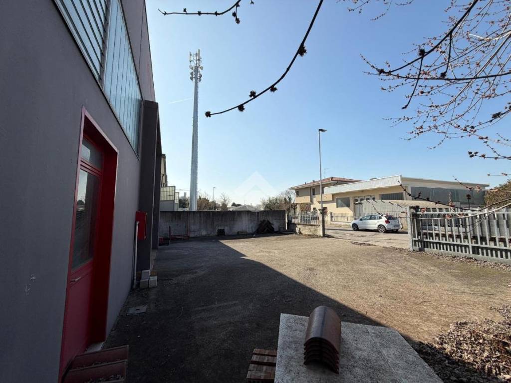 immagine annuncio 11 di 15