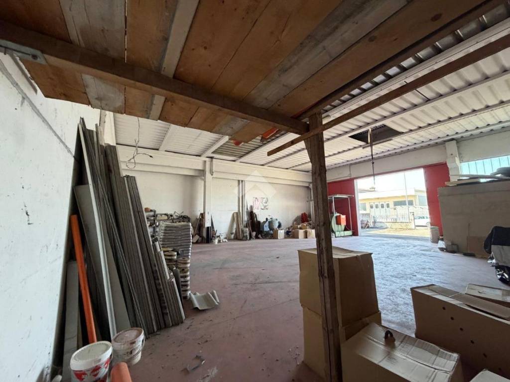 immagine annuncio 14 di 15