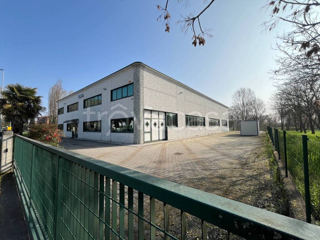 immagine annuncio 11 di 15