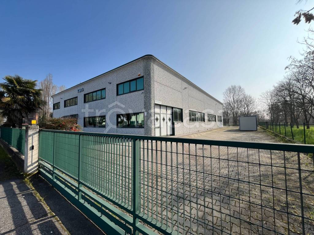 immagine annuncio 12 di 15