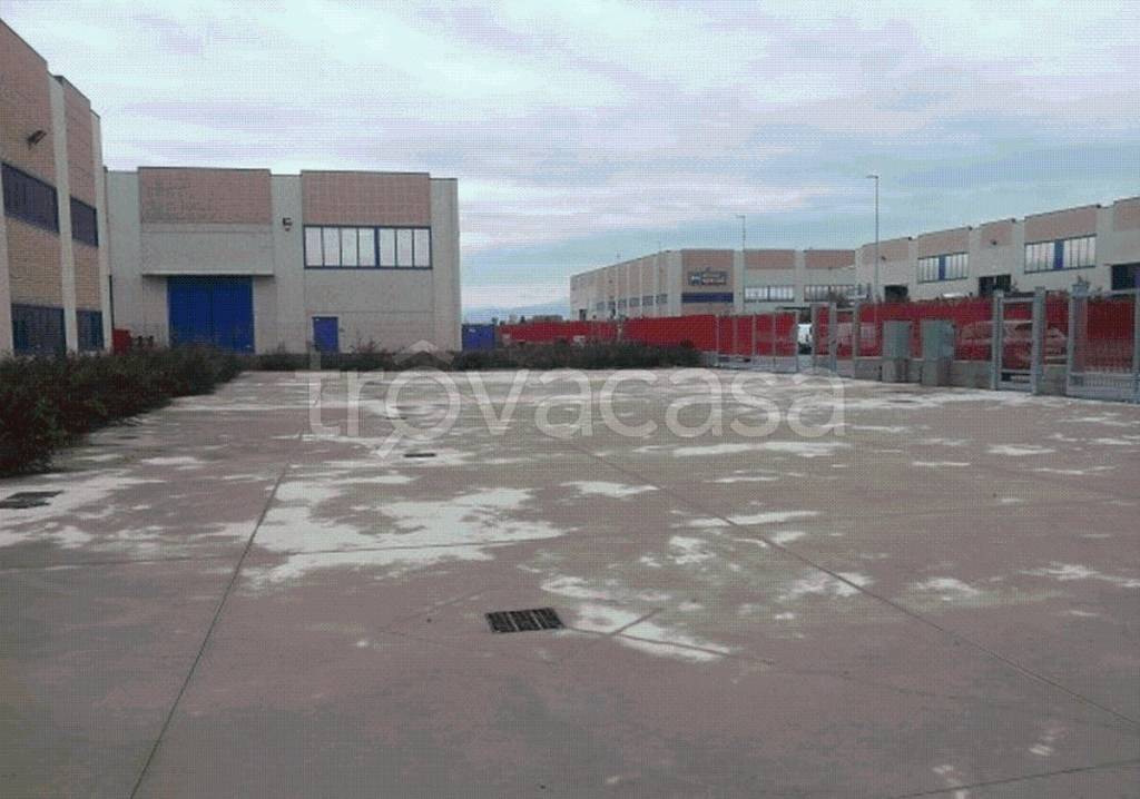 immagine annuncio 1 di 6