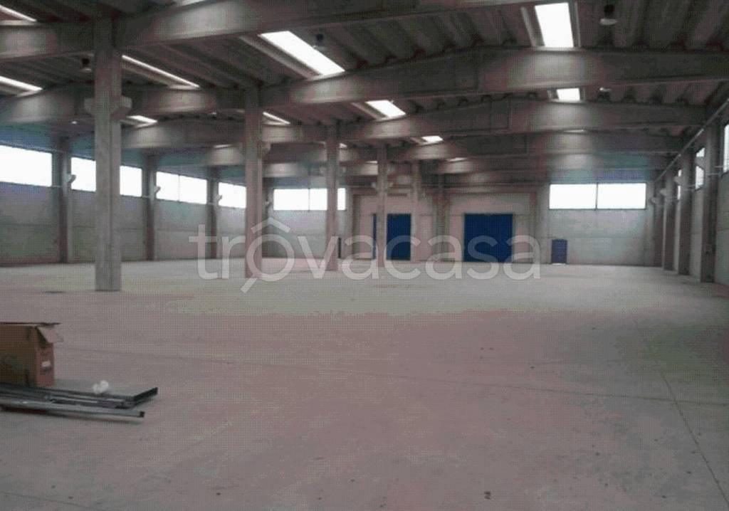 immagine annuncio 2 di 6