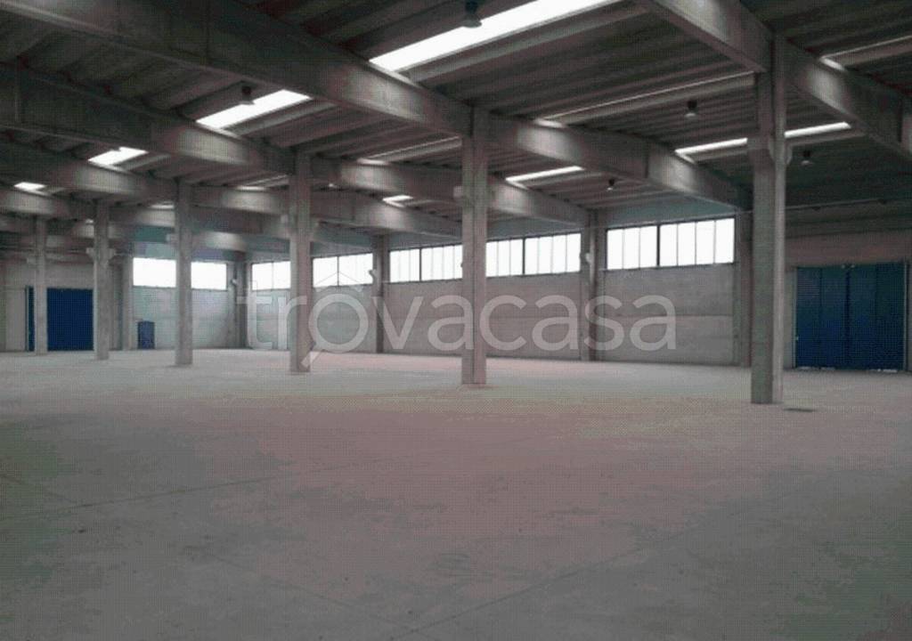 immagine annuncio 3 di 6