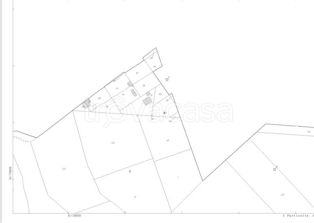 immagine annuncio 2 di 3