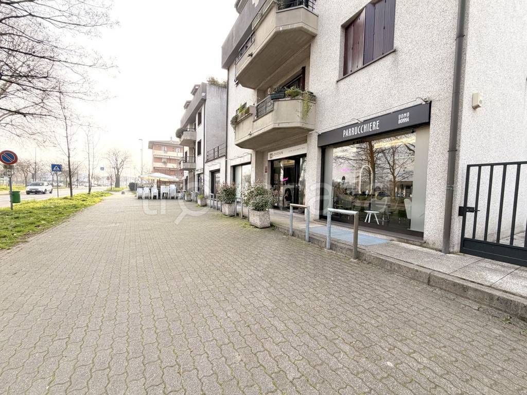 immagine annuncio 11 di 15