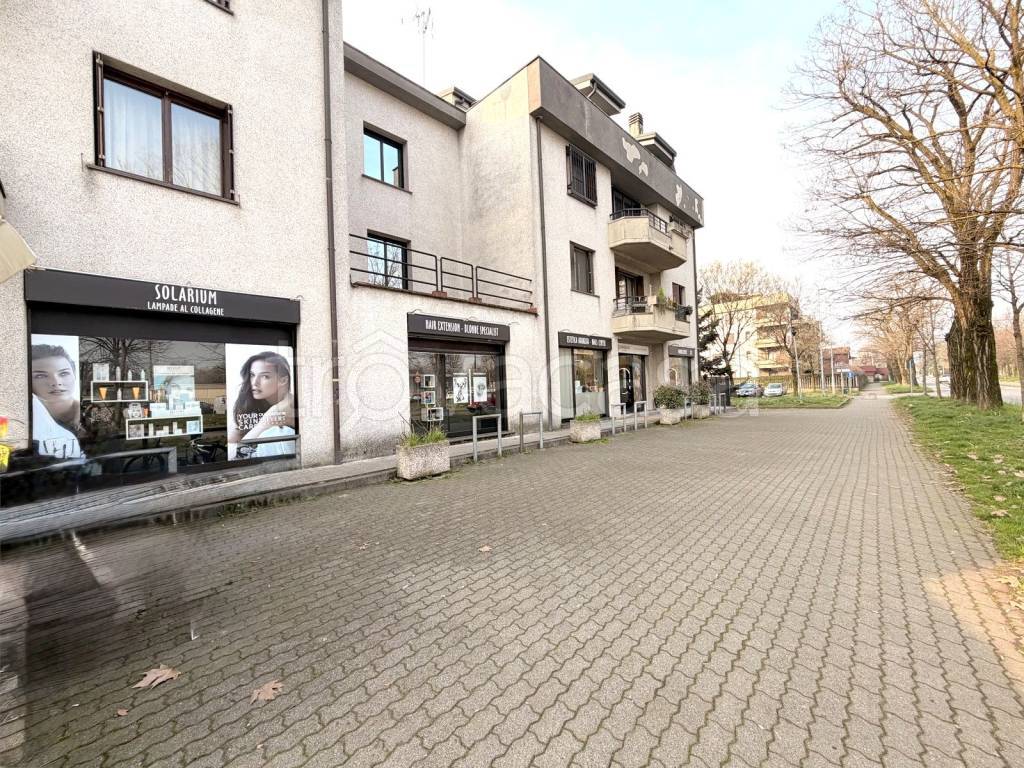 immagine annuncio 10 di 15