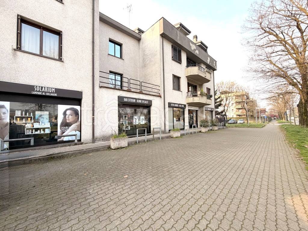 immagine annuncio 14 di 15