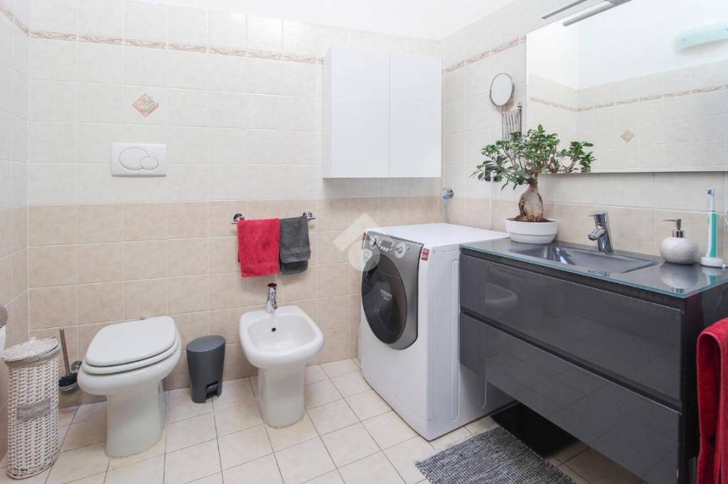 immagine annuncio 9 di 14