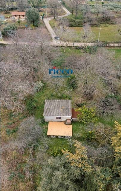 immagine annuncio 1 di 8