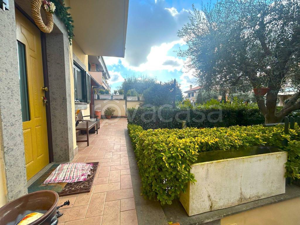 immagine annuncio 12 di 15