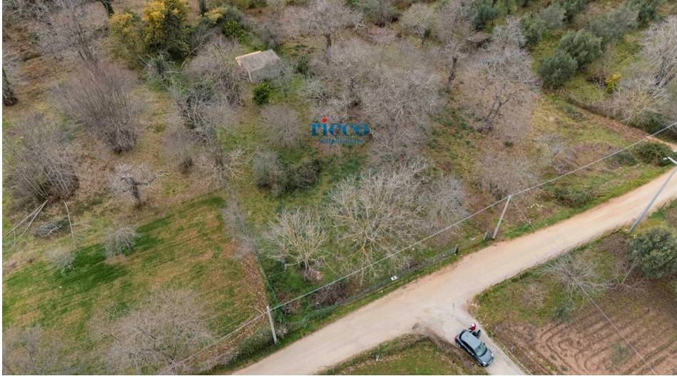 immagine annuncio 5 di 8