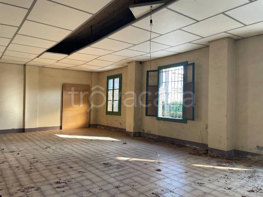 immagine annuncio 3 di 7