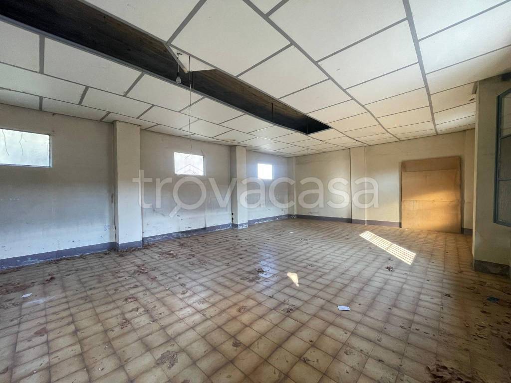 immagine annuncio 5 di 7