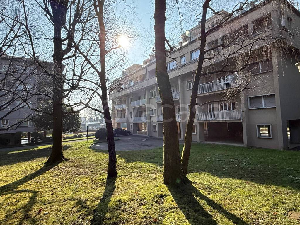 immagine annuncio 6 di 15