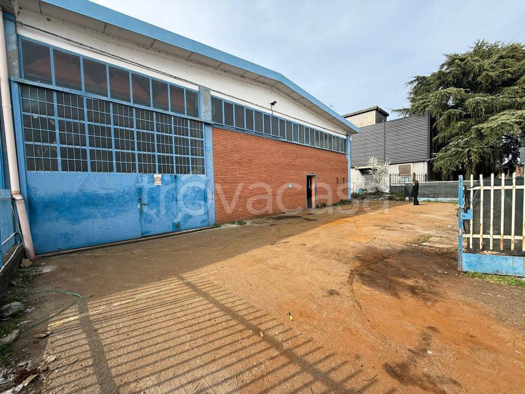 immagine annuncio 1 di 14