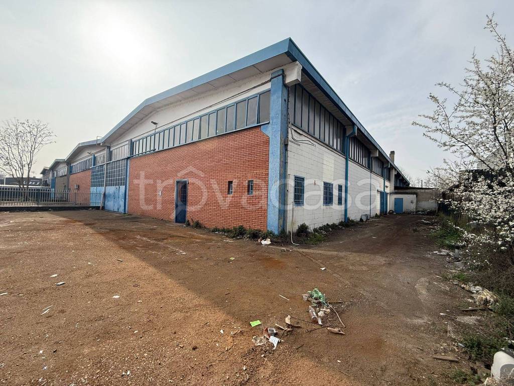 immagine annuncio 3 di 14