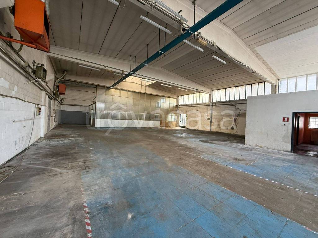 immagine annuncio 5 di 14